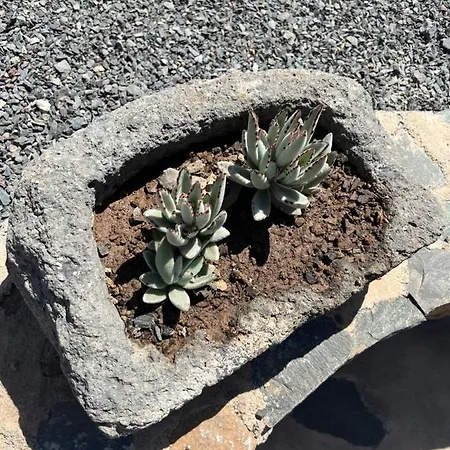 Con Bano Adaptado Y Piscina En Apartman